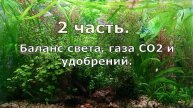 Часть 2. Продолжение видео "Баланс газа СО2, света, удобрений".