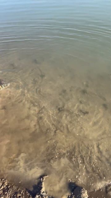 26 августа 2025 г.