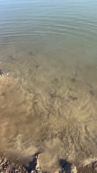 26 августа 2025 г.