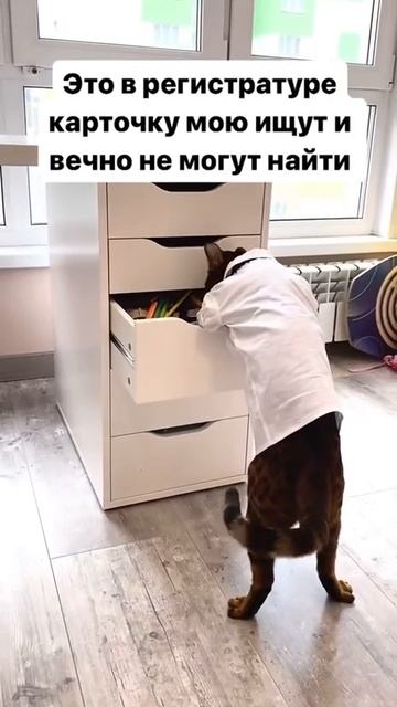 VID_20250826_094444_385.mp4