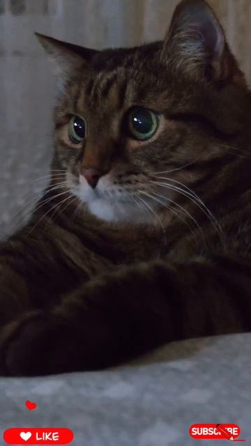 После вчерашнего 🙀🤔😉🤣👍🚀