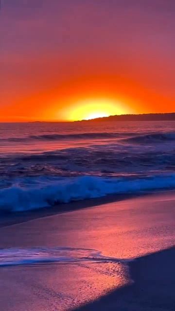 VID_20250826_230651_940.mp4