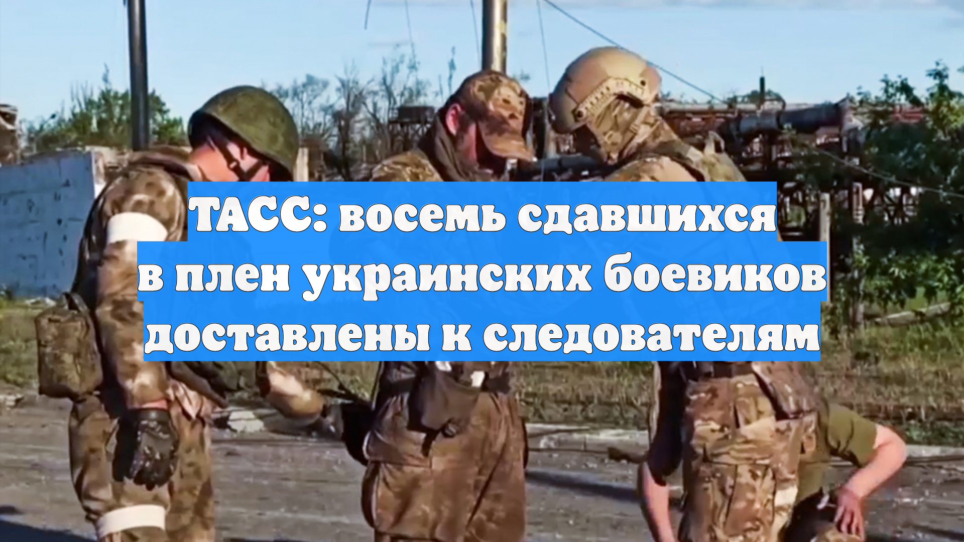 ТАСС: восемь сдавшихся в плен украинских боевиков доставлены к следователям