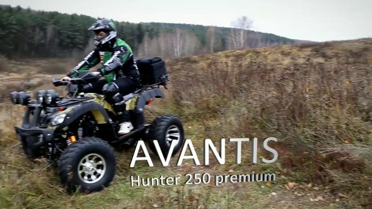 Avantis в Зеленограде Zel-moto.ru