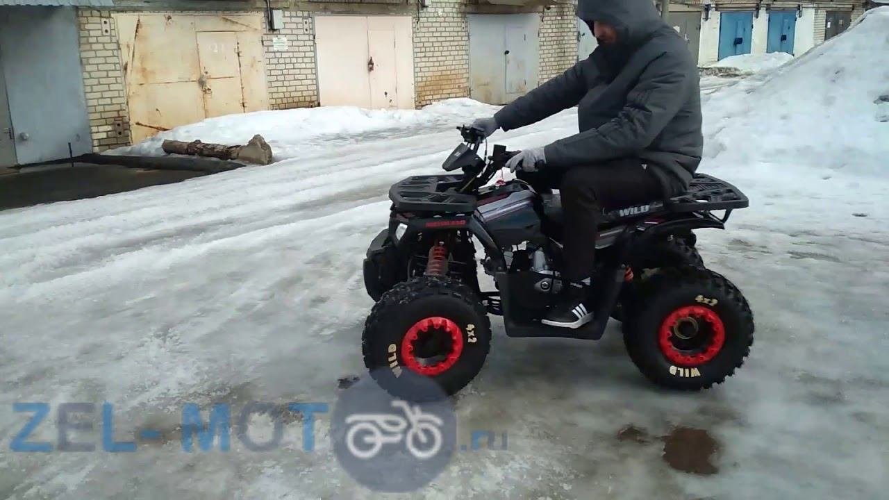 Квадроцикл Atv Bro WOlf 8 & Motoland Wild