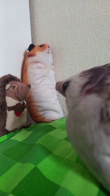 Вселенная игрушек. Возрождение. 1 серия 1 сезон