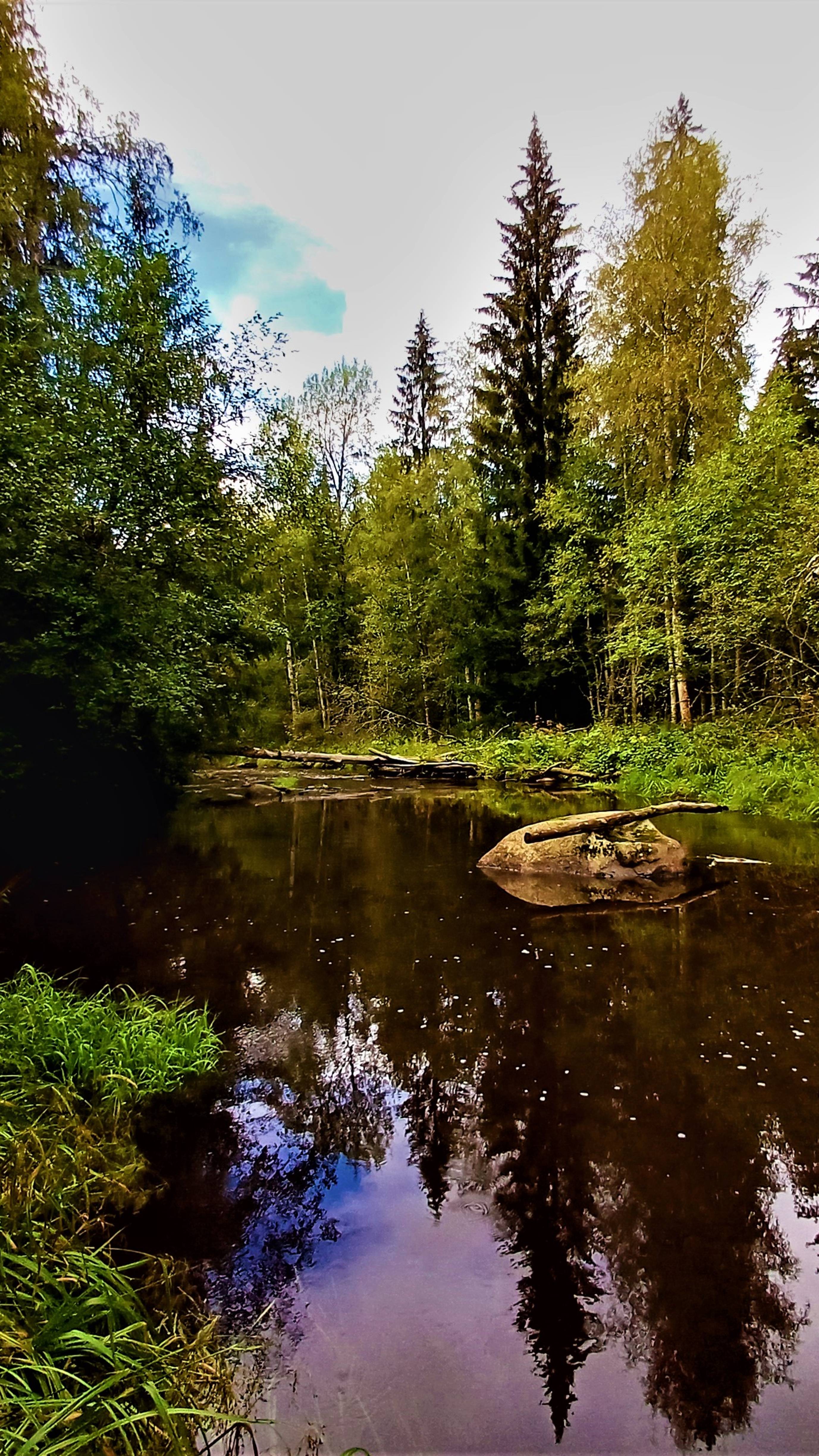 Рыбалка на р.сестра.