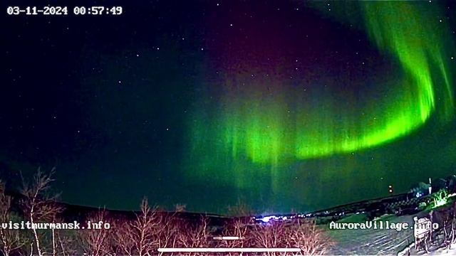 Новый год туры Аврора Вилладж  Мурманск Териберка на край земли хаски Viking  северное сияние#