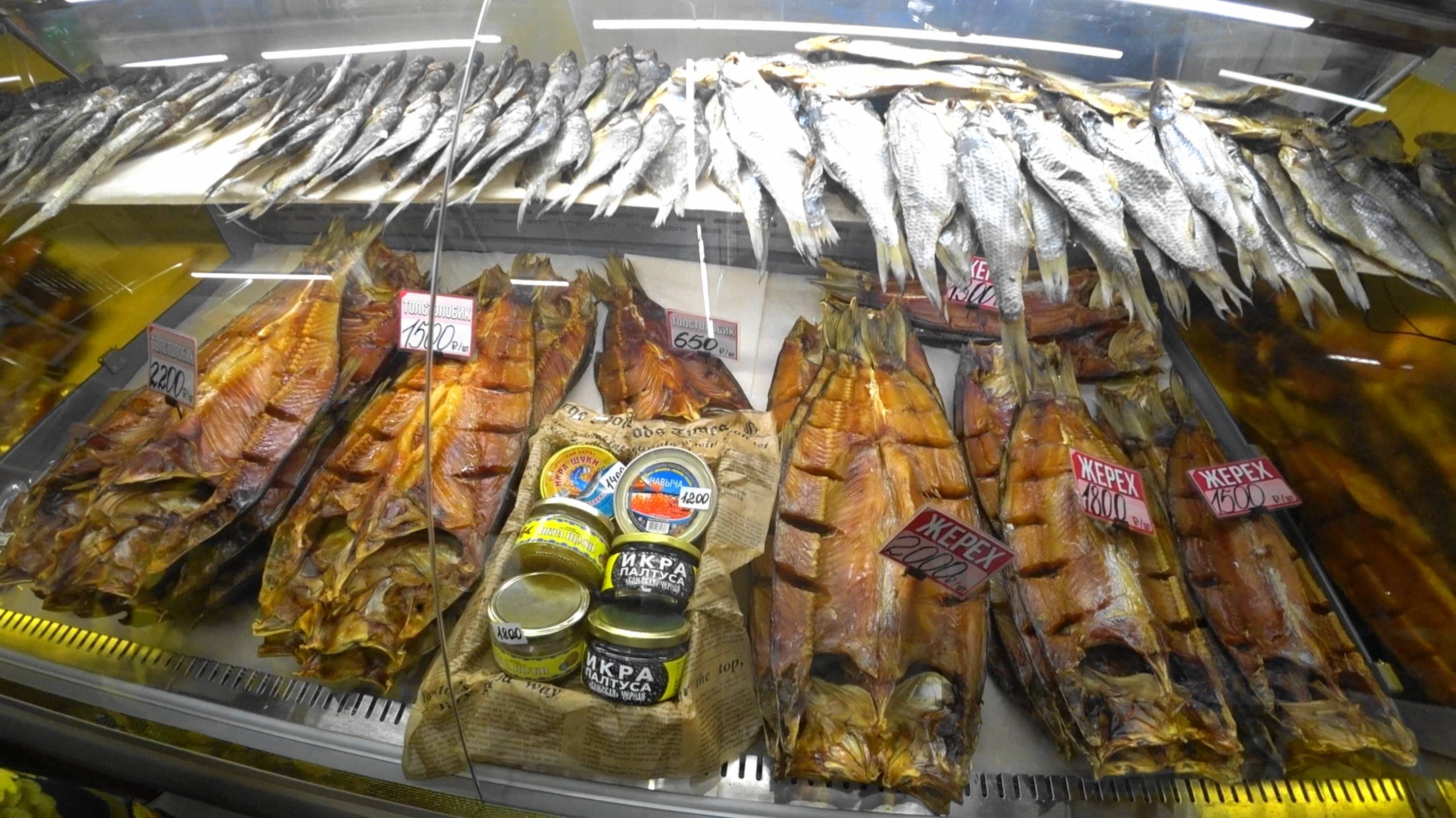 ПОЕЗД 85. МОСКВА-МАХАЧКАЛА. ПРОЕХАЛИ АСТРАХАНЬ. ПРИЕХАЛИ В ДАГЕСТАН.