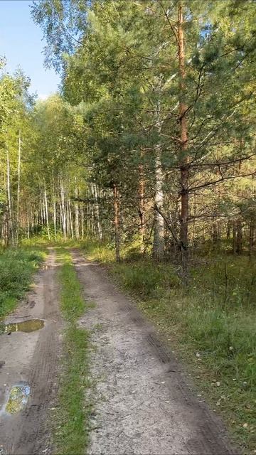 Как-то так ✊🏽