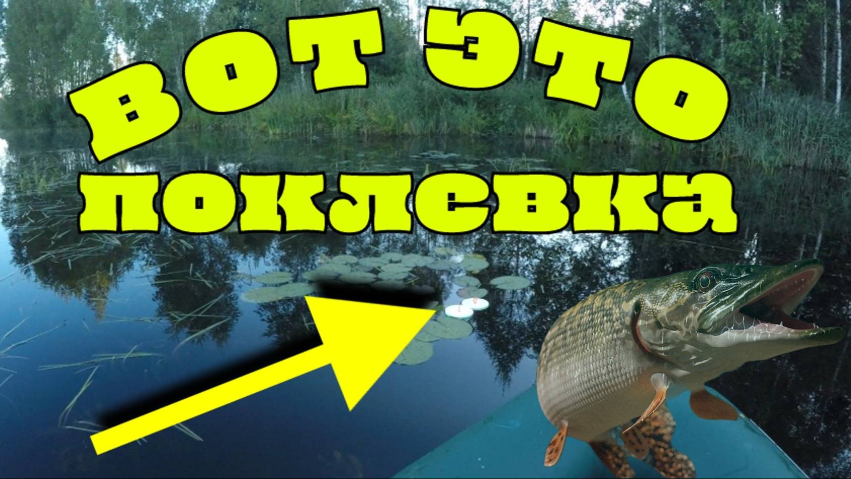 Рыбалка 2025. Такой поклевки не видел никогда!!!!!