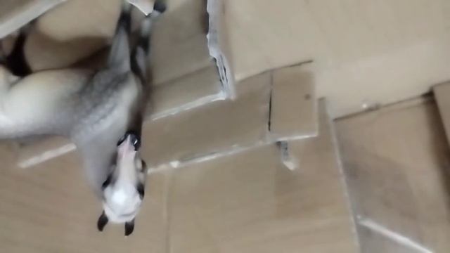 2 сезон Утаёная обида