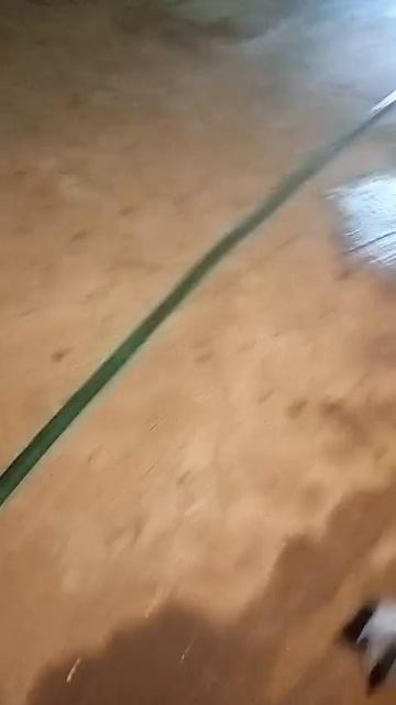 Ачишховская, 68/4