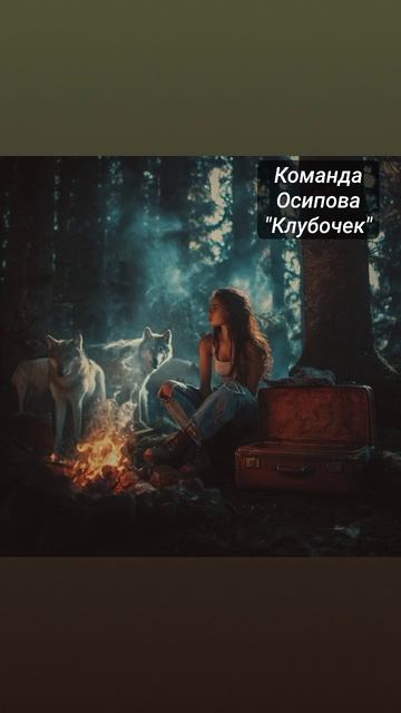 Команда Осипова "Клубочек"