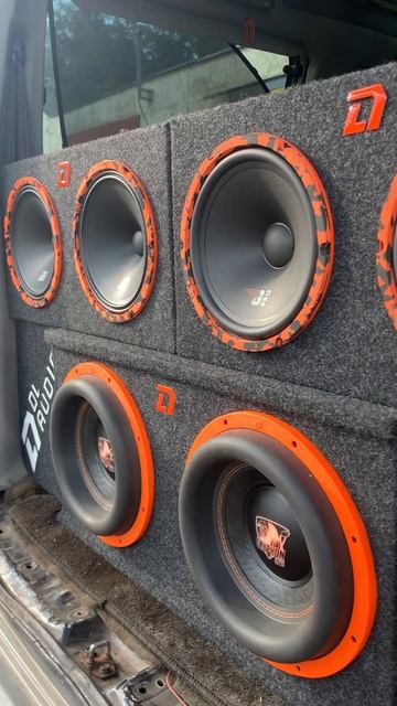 DL Audio Gryphon 250 pro Midbass