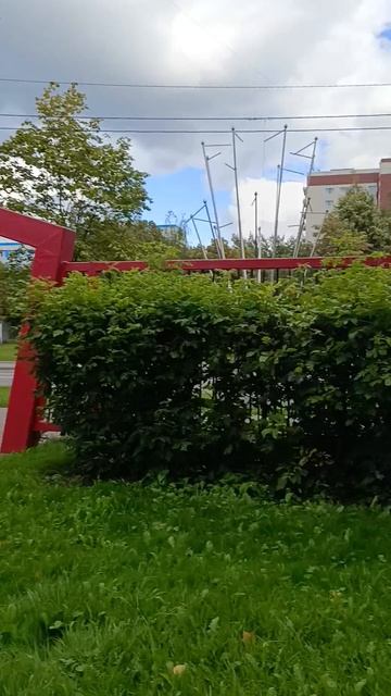 я гуляю в парке