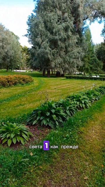 Сквер памяти дуэли А. С. Пушкина в Санкт-Петербурге #пушкин #дуэль #санктпетербург #питер #спб