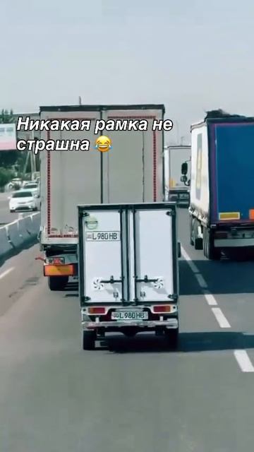 Мини газель) #shorts #funny #like