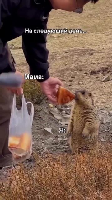 Знакомо?
