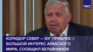 Коридор Север — Юг привлек большой интерес арабского мира, сообщил Бельянинов
