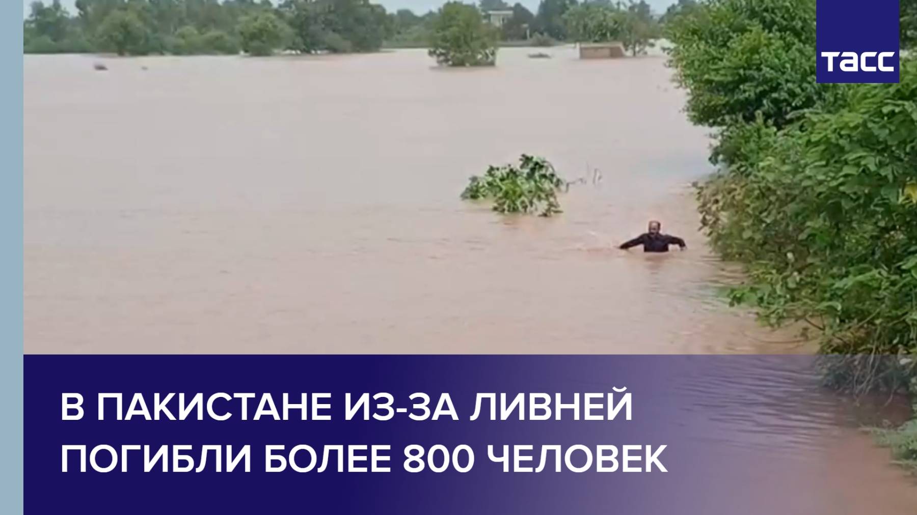 В Пакистане из-за ливней погибли более 800 человек