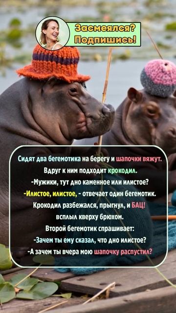 Бегемоты и крокодил 🐊  😂 #shorts  #смешно #юмор #прикол #анекдот
