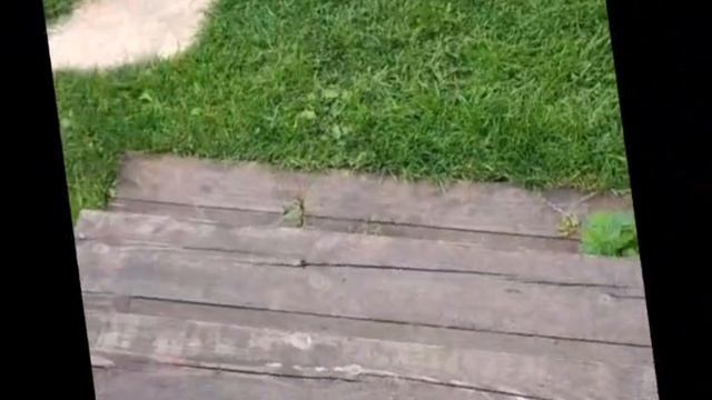 1000033097.mp4 (Собака смотрит на крепление каркаса для и/бруса на блок входной двери дома А-фрейм)