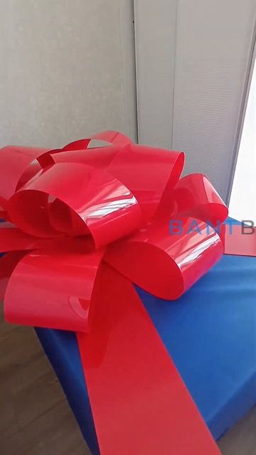 Машина + бант из пластика= эффектный вау-подарок!