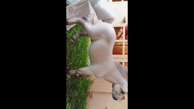 сбоооорник