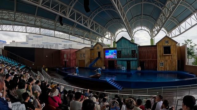 Море впечатлений в Парке развлечений Фули. Hainan Ocean World.