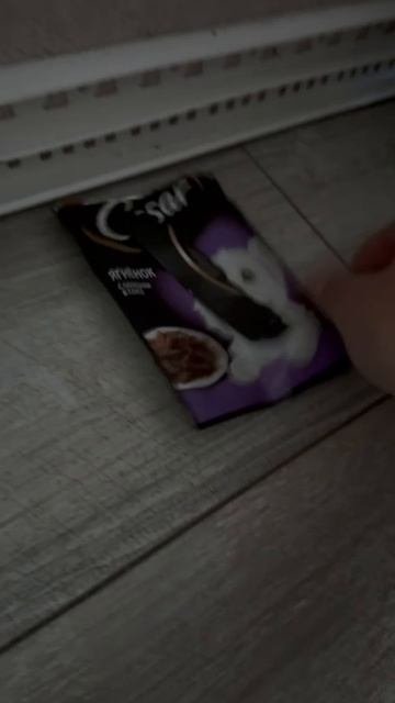 Это самый лучший корм для шпицов!!!
