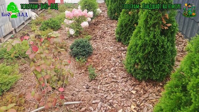 Краткая зарисовка с объезда объектов и оценки качества выполненных работ