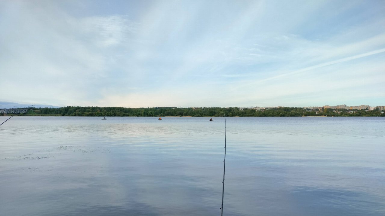 Фидер отчет 23.08. 2025