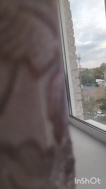1000050079.mp4