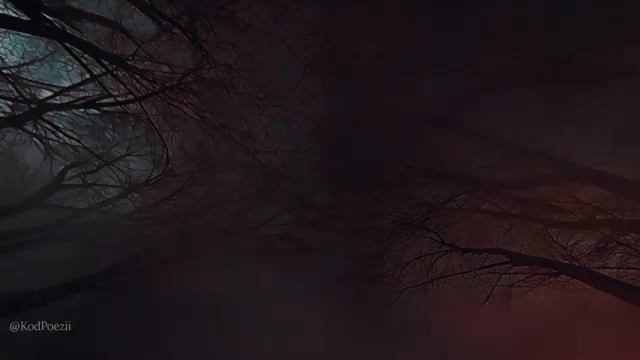 Это ты - как всё потерять и снова обрести