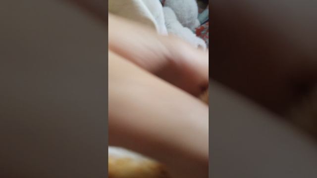 челлендж изобрази то что попалось