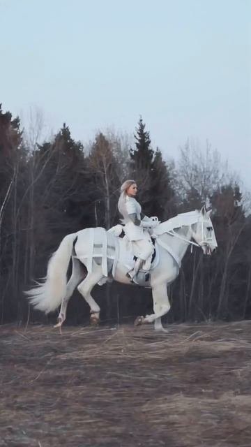 White Knight 2