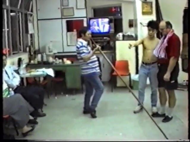 special lectures by GM Wong Shun Leung for Dr. J. Szymankiewicz basic of  the Lok Dim Boon Kwun.