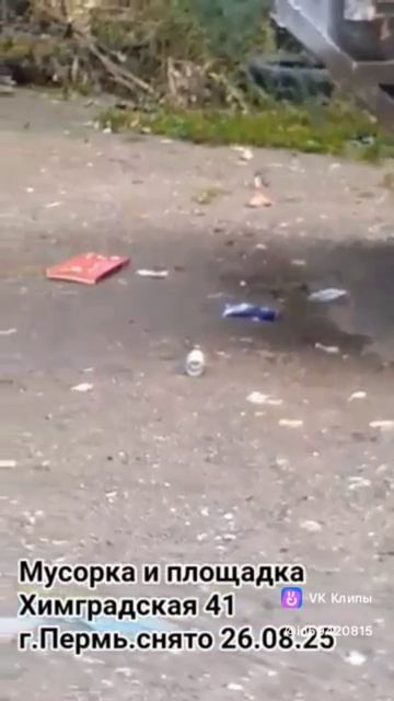 крысы помогают привести мусорку и площадку в нормативное состояние #пермь #жкх  #экология