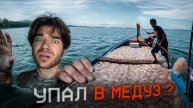 ДИЛЕМА МЕДУЗЫ | ПАРАДОКС МАРТЫШКИ | Zadumaites