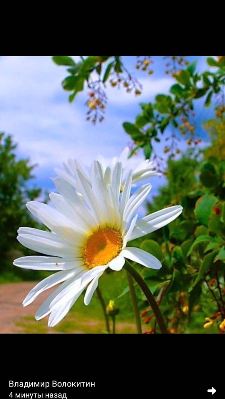 Мы часто жизнь от устья до истока