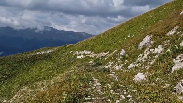 поездка 27.08.25