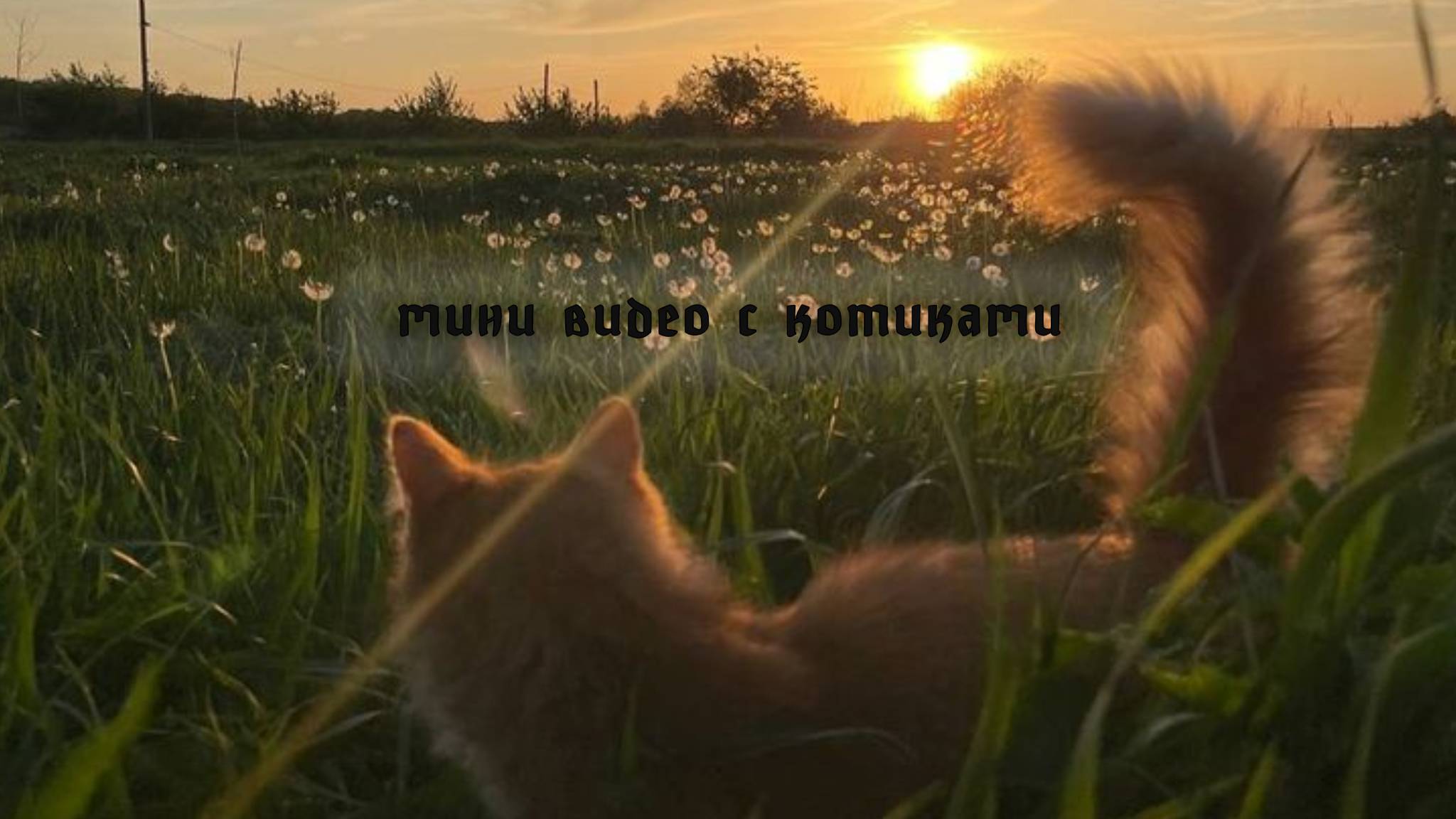 прощай лето