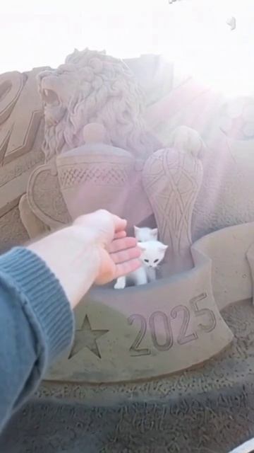 сборник смешных коротких видео