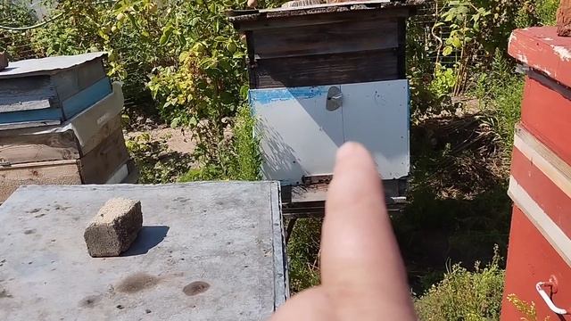 Погода наладилась.