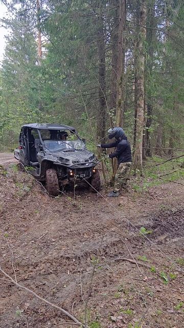 Как дела? Нормально! Нормально нереально!