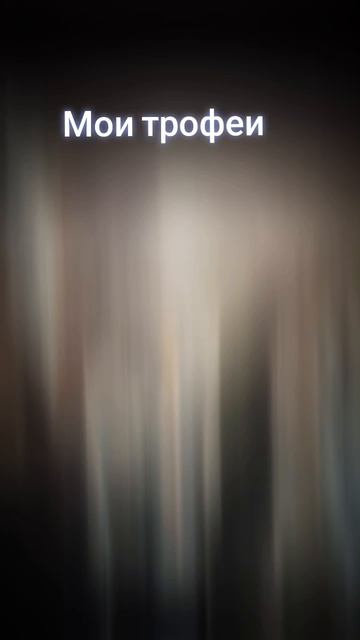 Мои трофеи.