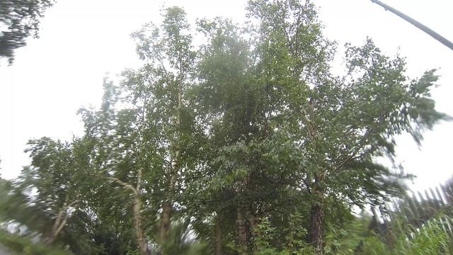 ШТОРМОВОЕ ПРЕДУПРЕЖДЕНИЕ ОБЪЯВИЛИ В ЕЛИЗОВСКОМ РАЙОНЕ ИЗ-ЗА УРАГАННОГО ВЕТРА • НОВОСТИ КАМЧАТКИ