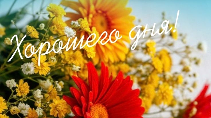 С Добрым утром💖 Хорошего дня 🌝♥️