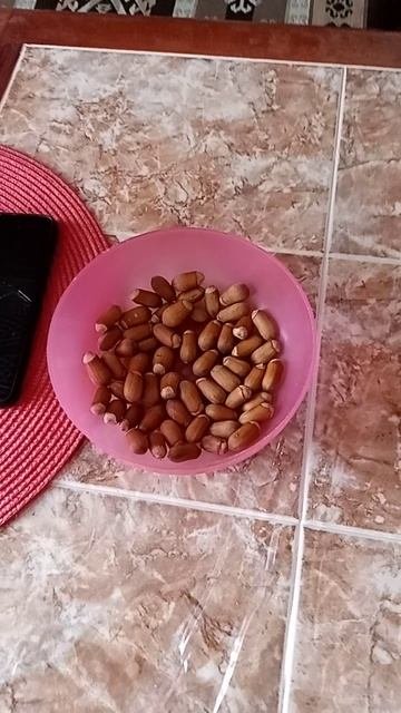 VID_20250828_133222.mp4